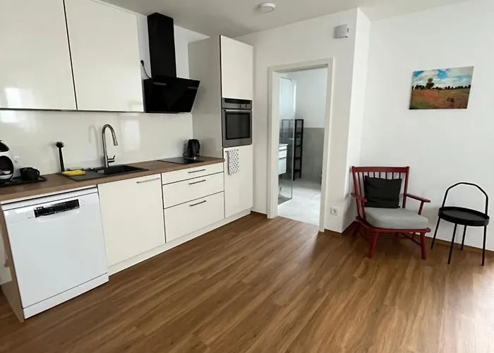 Moderne Einliegerwohnung Am Park Апартаменты *